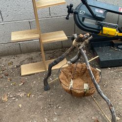 To put your vegetables