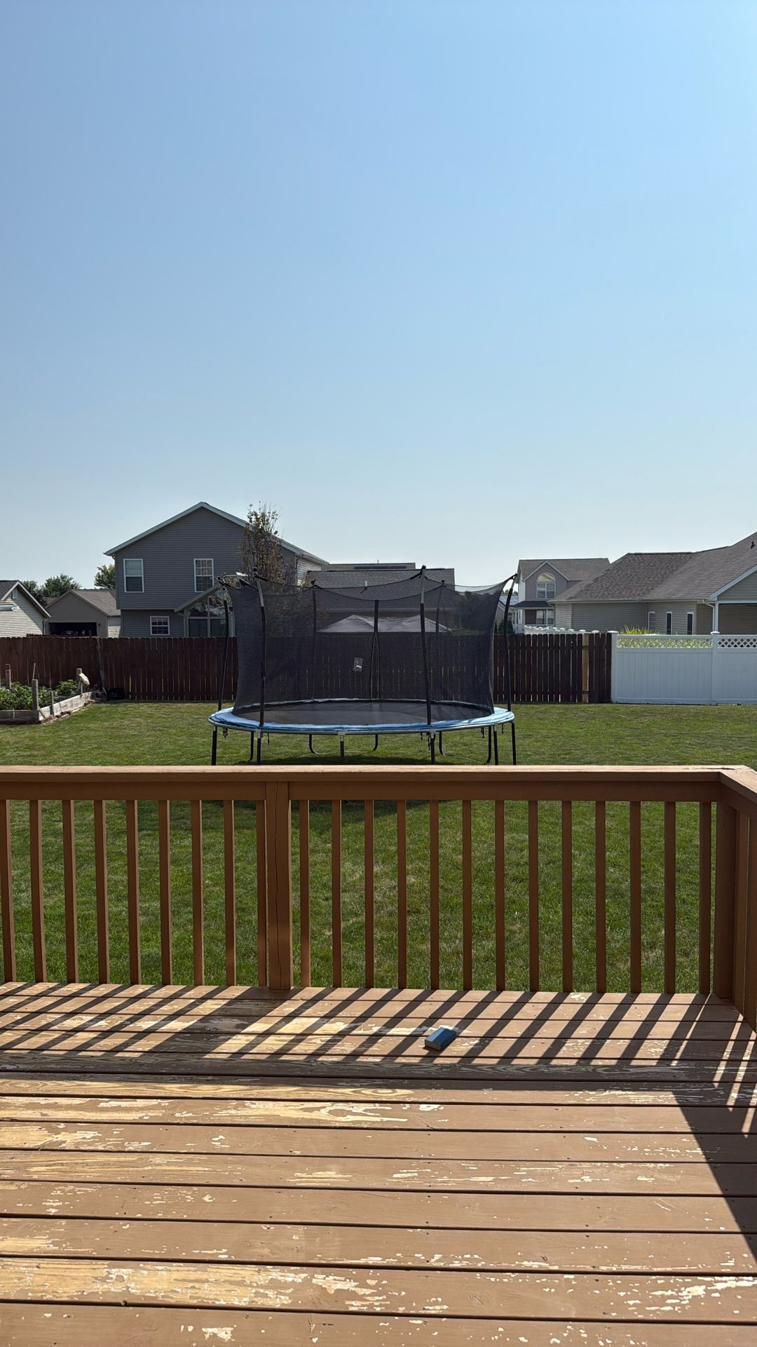 Trampoline 
