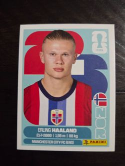 -ERLING HAALAND - Paninni sticker