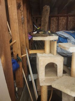 Cat Condo