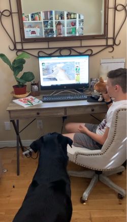 Small writers desk