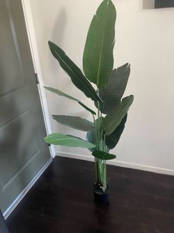 Fake plant