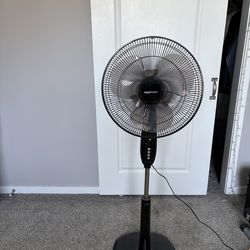 Fan
