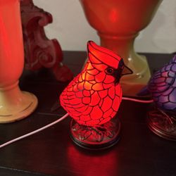 Red Cardinal Bird Night Glow