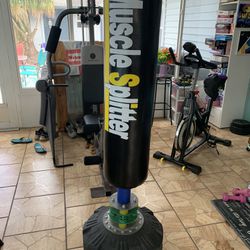 Punching Bag W/new Gloves