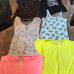 6 Piece 3xl Xxxl Womens Clothing Lot 2 Dress 4 Shirts 