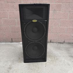 Samson Live! Powered PA Speaker