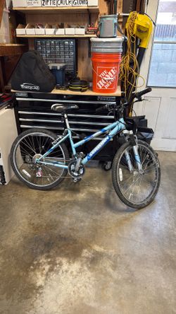 Schwinn High Timber Bicycle