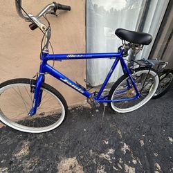 Nice Beach Cruiser 80$ Wow 