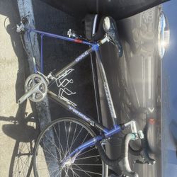 2300 Trek 