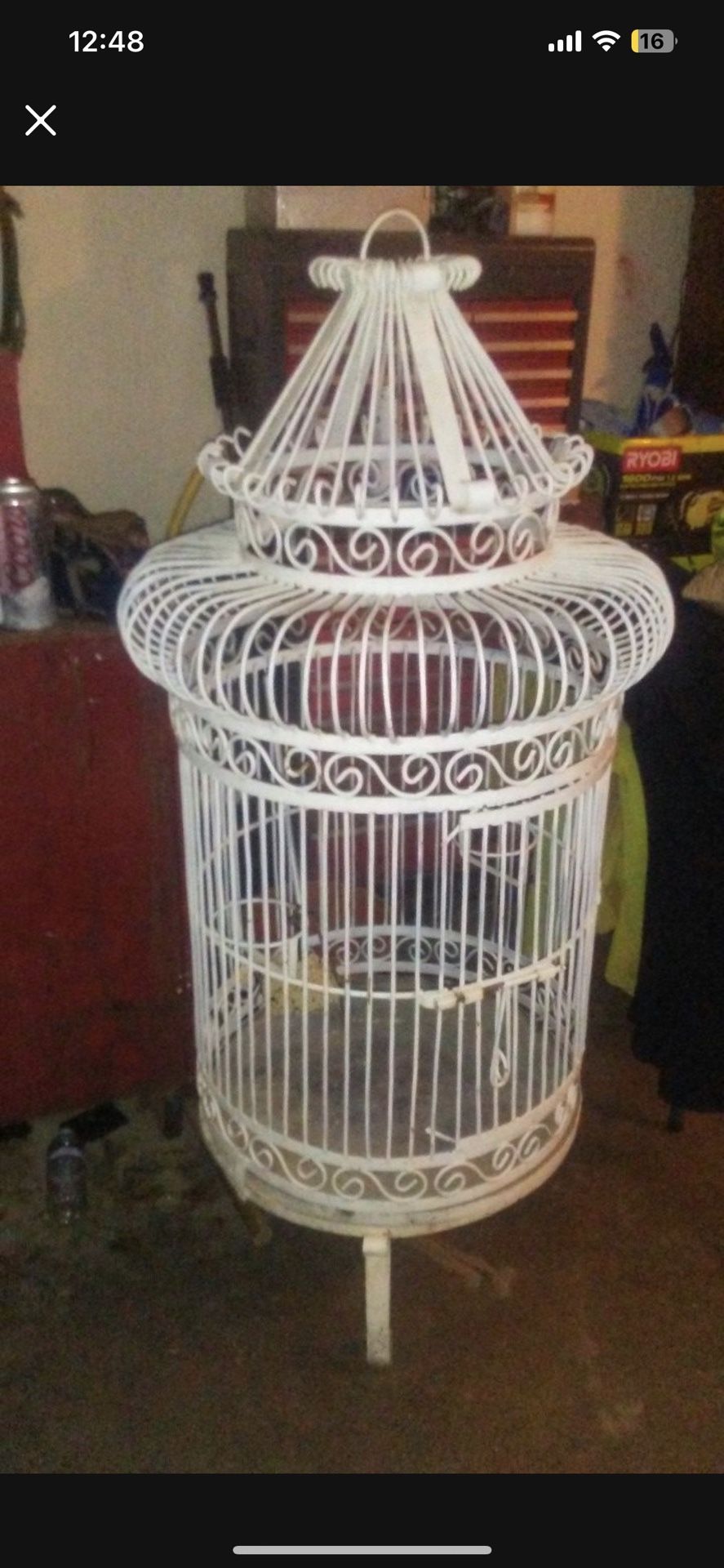 Big Bird Cage