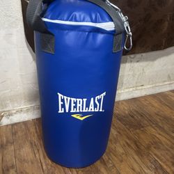 Everlast punching bag