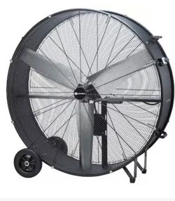 Large Fan