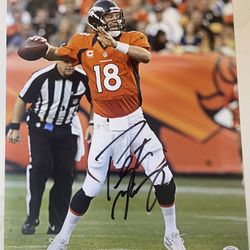 Peyton Manning Signed Autographed 11x14 Photo With COA