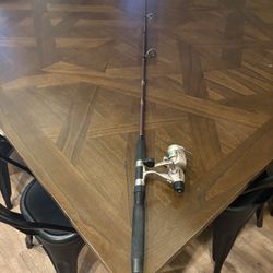 Shakespeare Fishing Rod