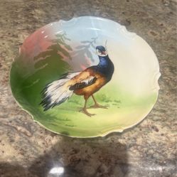 Vintage Collectible, Bird Plates