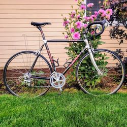 Giant Carbon Fiber Race Bike (Light and Fast)