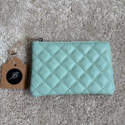 Turquoise Pouch 