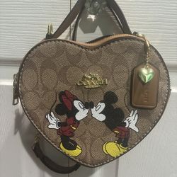 Mickey and Minnie heart ♥️ coach purse 👜
