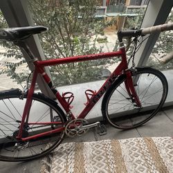 Trek Bike Size Large