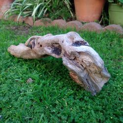 Genuine Driftwood For Aquariums Terrariums Decor 