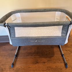 Baby Delight Bassinet