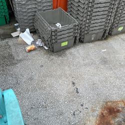 Storage Containers Flip Lids