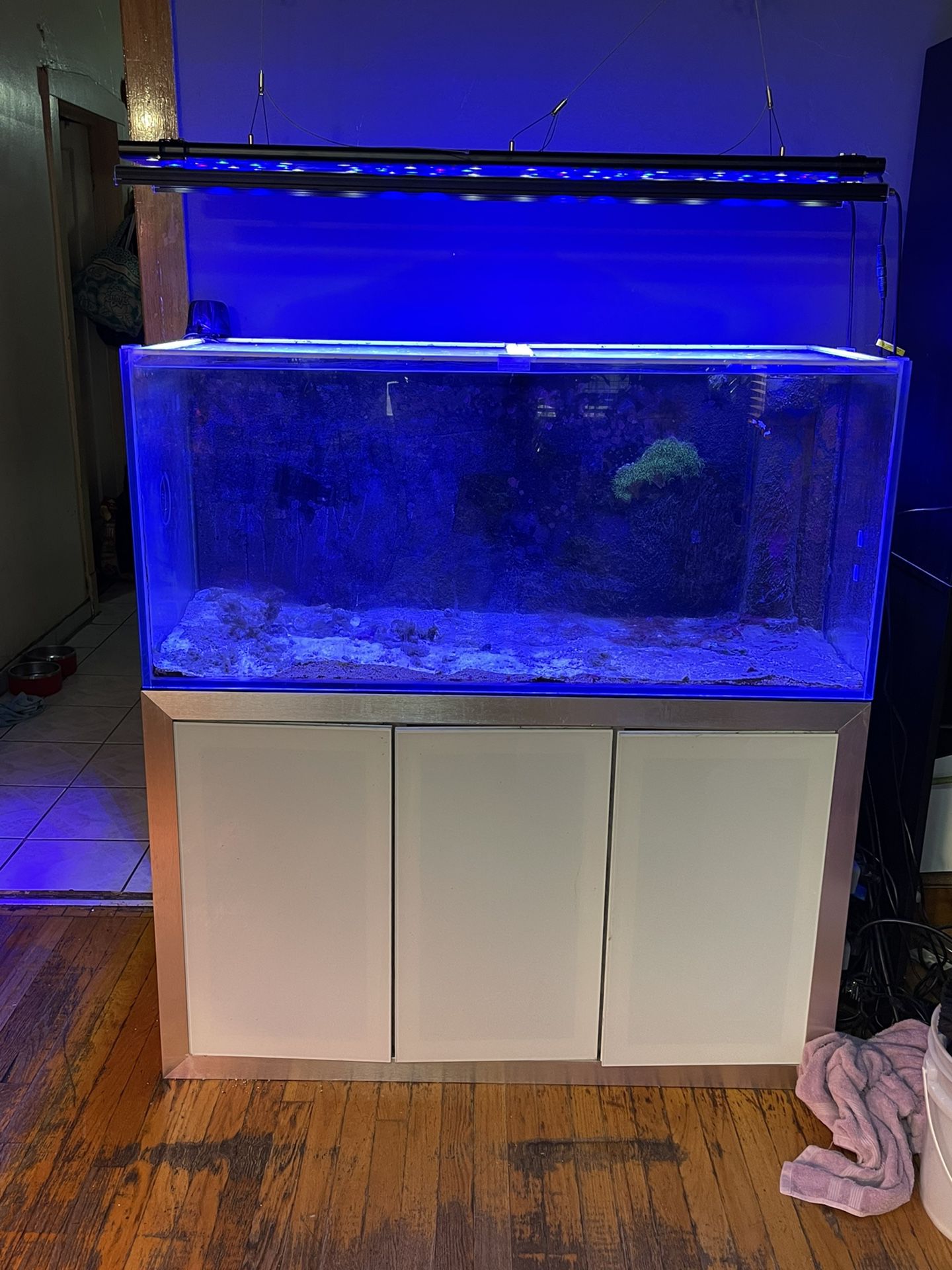 90 Gallon Fish Tank Reef Saltwater Aquarium