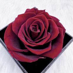 Ansuma Preserved Real Rose Box, Eternal Rose with Heart Necklace in Jewelry Box, Romantic Gifts for Her Women Mom Wife Grandma on Mother's Day, Annive