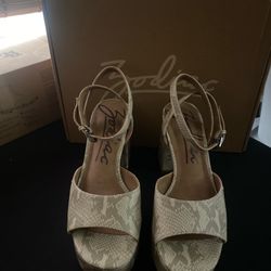 Zodiac Chunky Heels-8 1/2