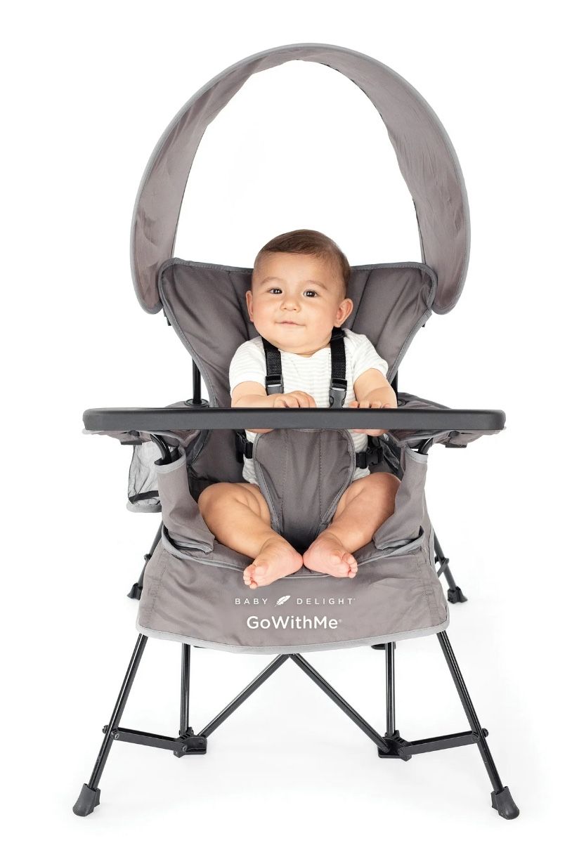 Baby Delight Deluxe Portable Chair 