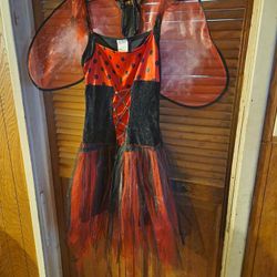 Halloween Lady Bug Costume