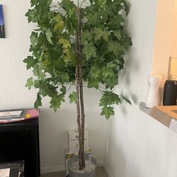 Fake Tree Plant 