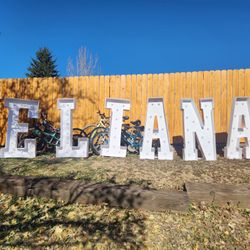 4ft Light Up Letters 