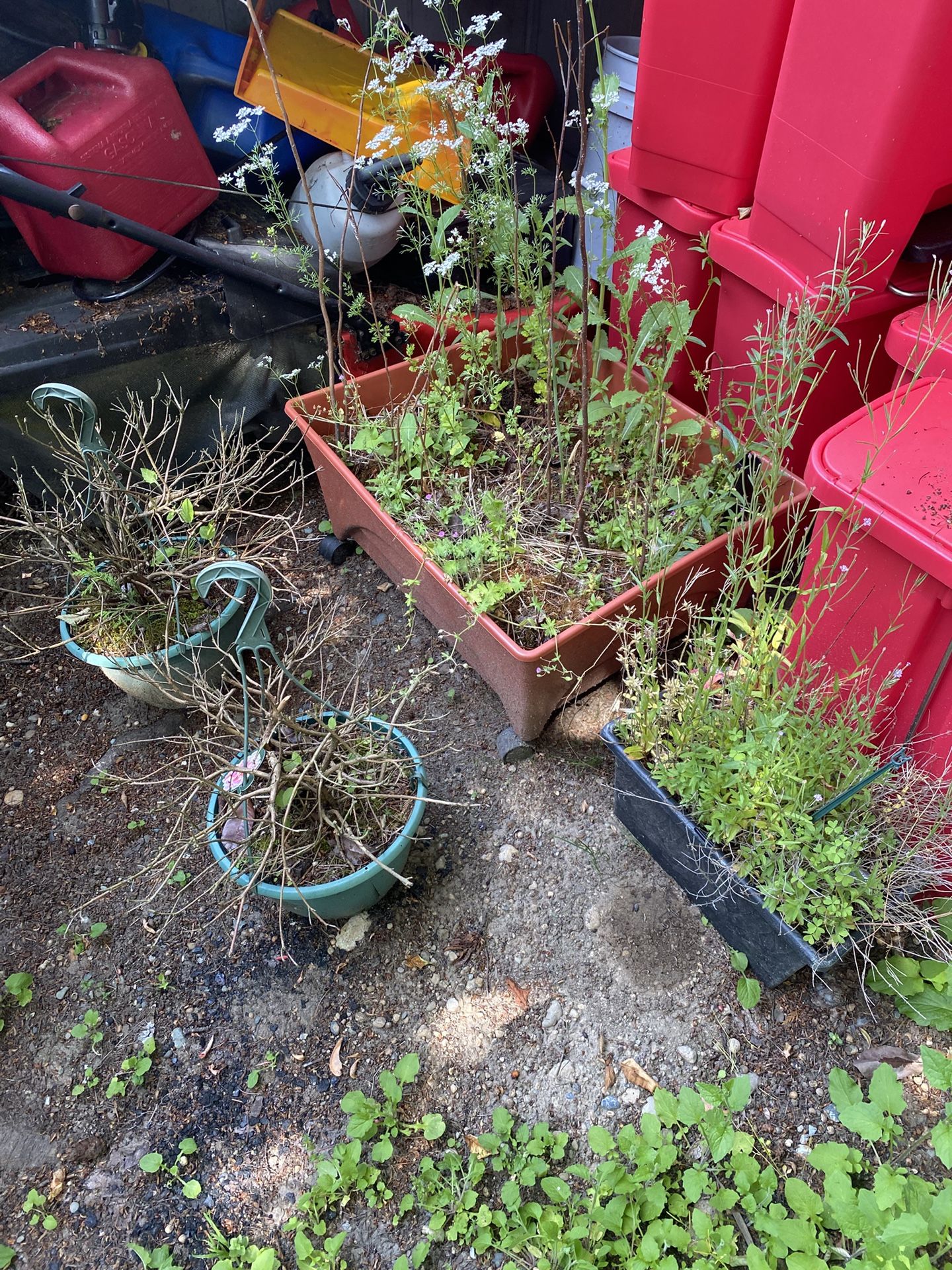 🪴 Planter Pot Bundle - 5 Total — $15 Bundle of five assorted outdoor planters. All in good condition and ready for reuse. Some still contain soil and