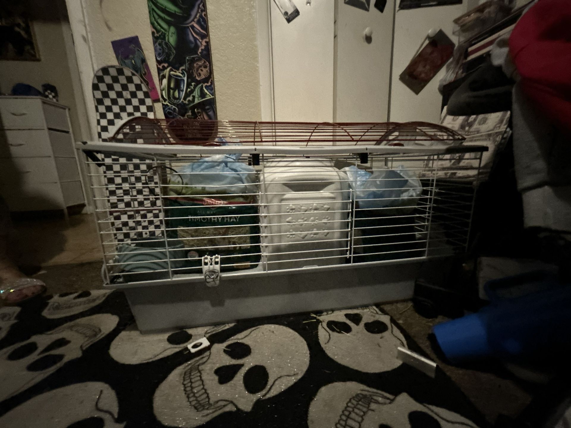 Bunny Cage