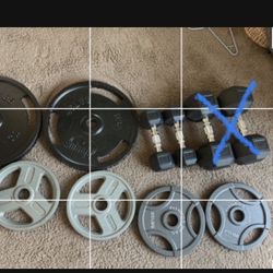 Plates,dumbbells , And Bench/squat Rack With Bar 