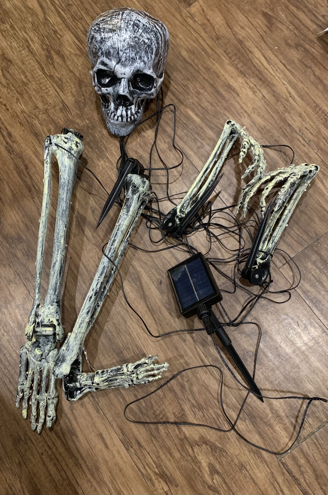 Skeleton Yard Decoration