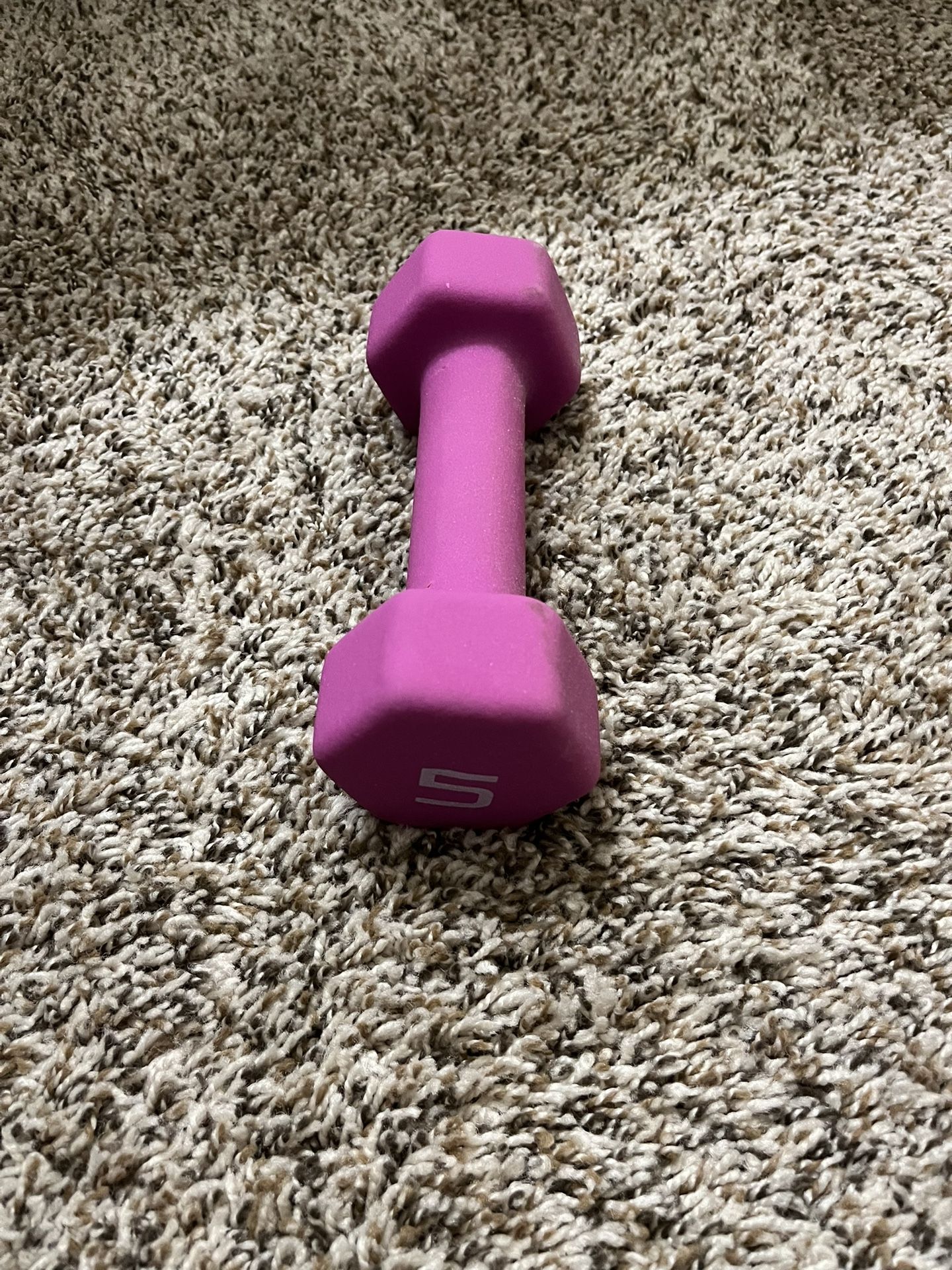 5 Ib Dumbbell 99% New