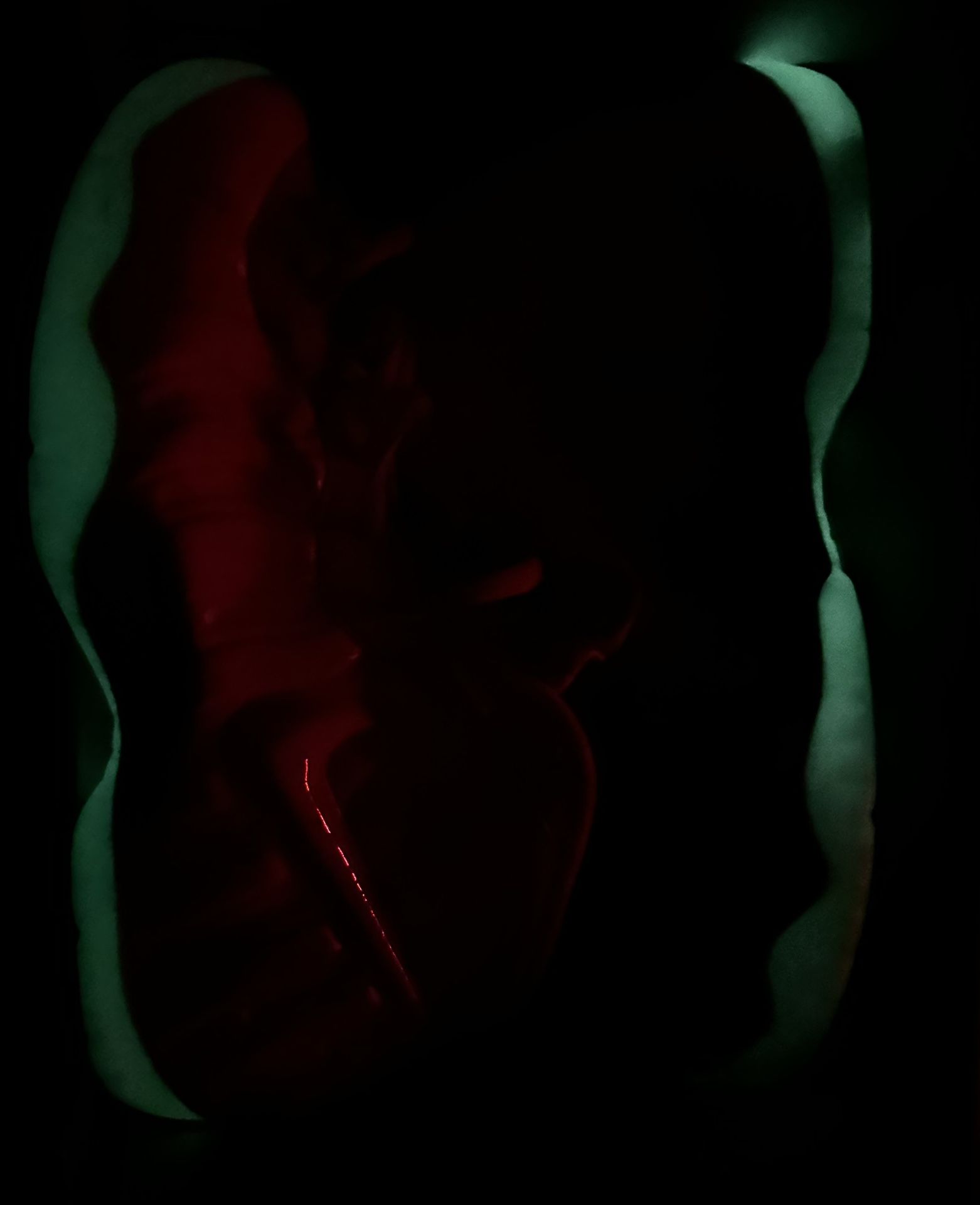 Nike Foamposite Yeezy Platinum 2016