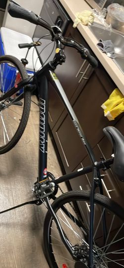 Infinity bike  700/38 c wheels