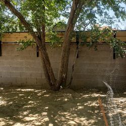 Privacy Wall Toppers 