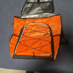Cooler Bag
