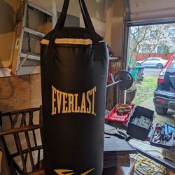 Small EVERLAST Punching Bag