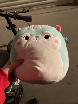Squishmallow Chipmunk