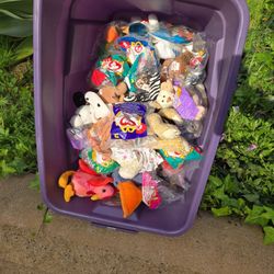 Ty Beenie Baby's 1998