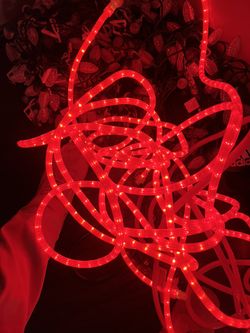 Christmas Lights