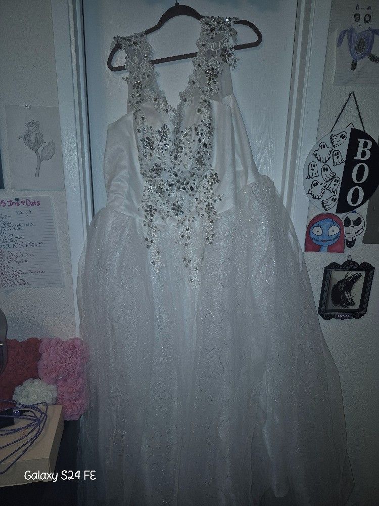 Plus Sized Formal Dress, Sparkly!
