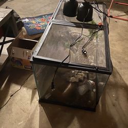 Moving Sale 12/6 Reptile Terrarium 40gal Or Best Offer