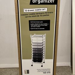 ORGANIZADOR 